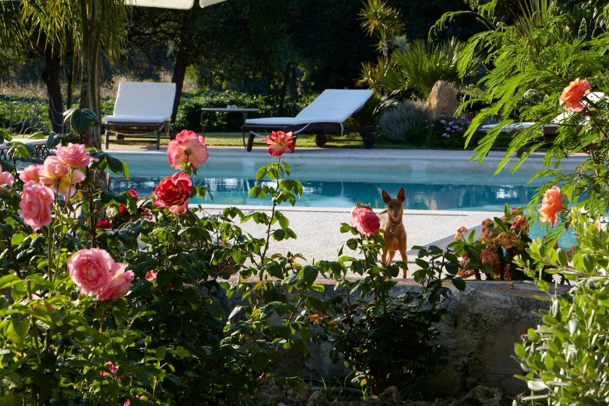 Baglio Sant'Andrea Bed & Breakfast Валдериче Екстериор снимка